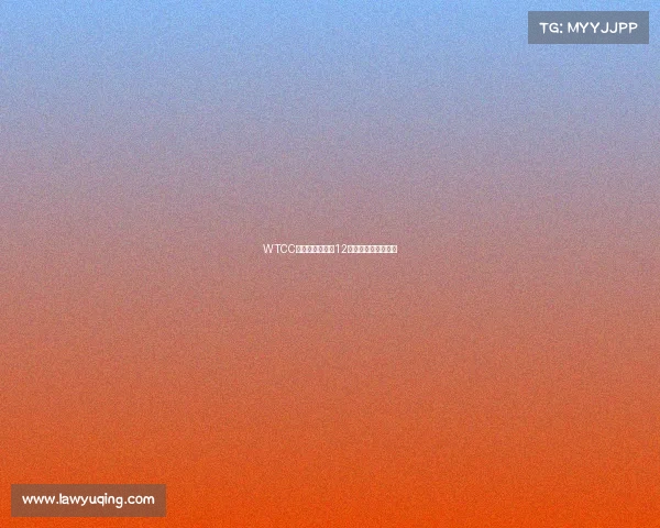 WTCC首秀燃情开拍，12月深圳打响洲际争霸